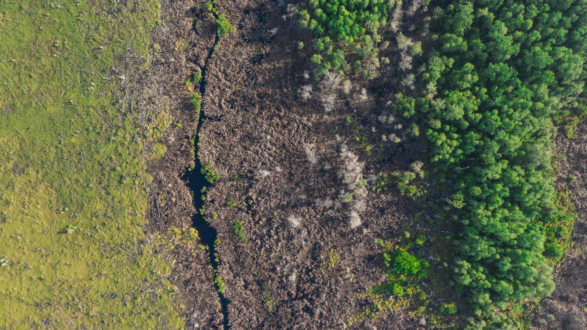 BPI Bjorn Vaughn Ex Mega Rice Mawas-0007-min