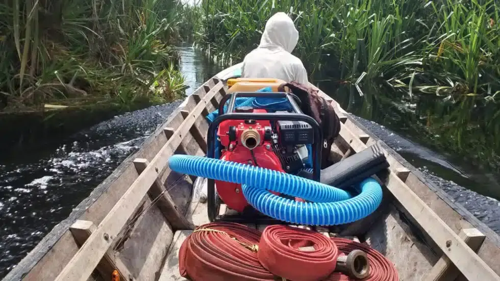 orangutan.de Feuer3 1920x1080 BOSF-980x551.jpg