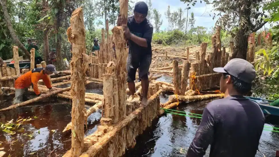 orangutan.de Feuer4 1920x1080 BOSF-980x551.jpg