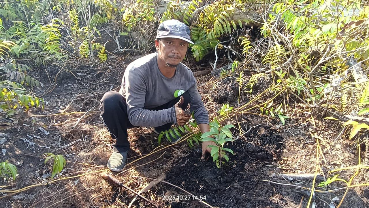 WhatsApp Image 2023-10-27 at 15.58.13Erdtopf 3