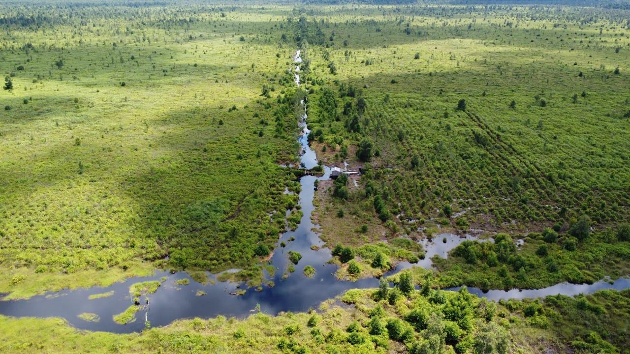 Fläche von oben mit Kanal