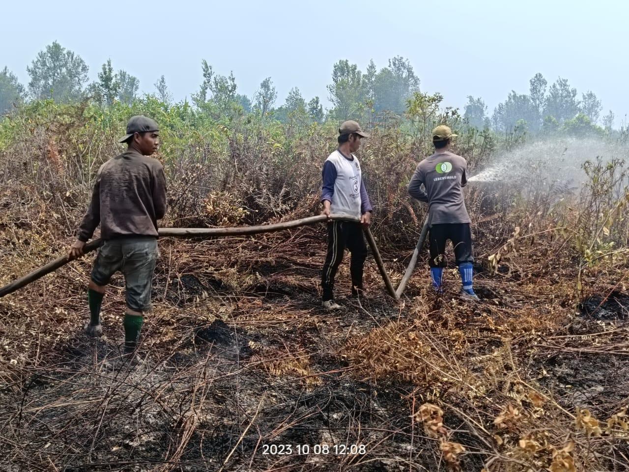 WhatsApp Image 2023-10-10 at 21.07.55