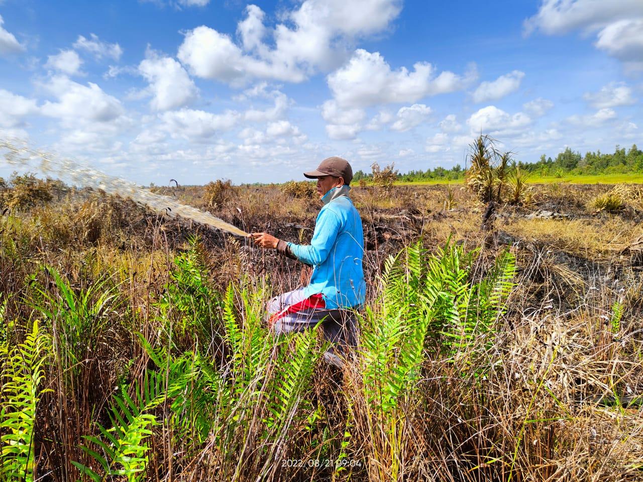 kleines Feuer August 22