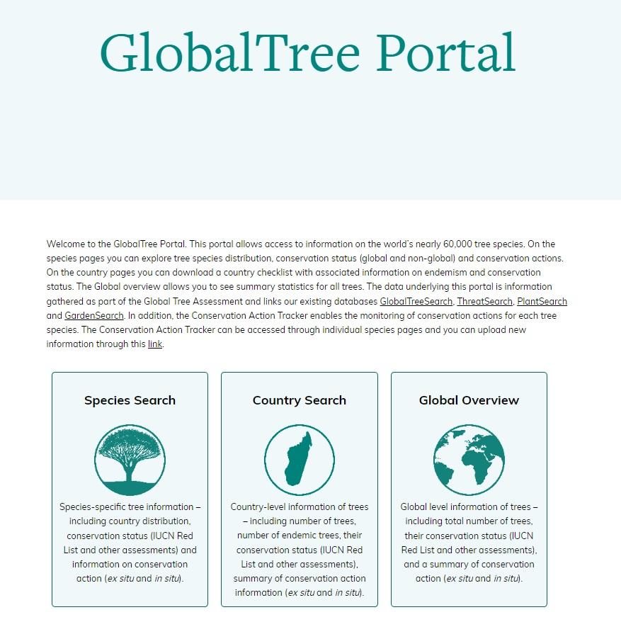 GlobalTreePortal