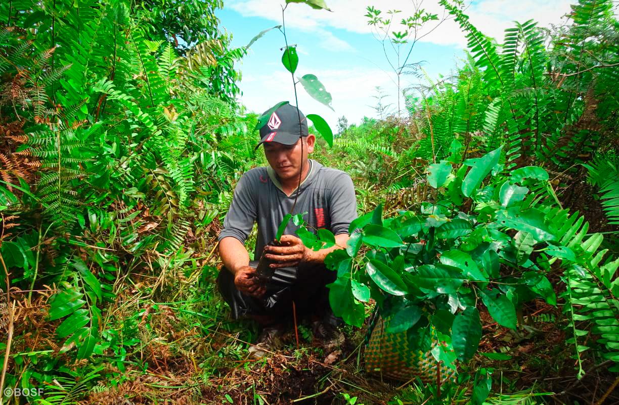 IMG-20210704-WA0201-4